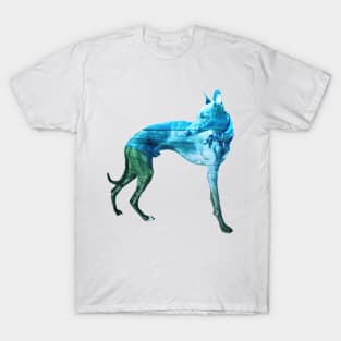 Aqua & Green Waves Whippet T-Shirt